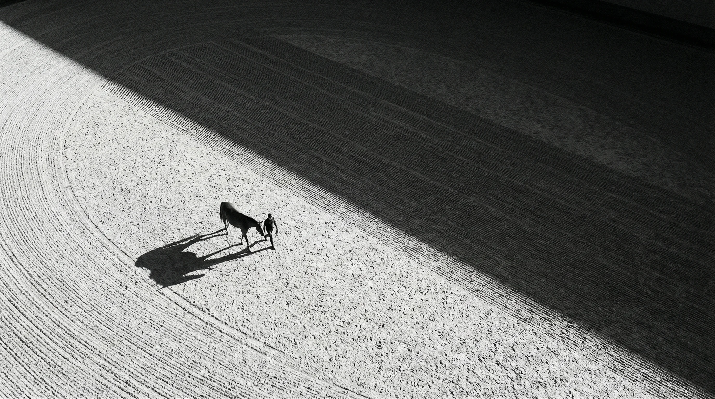 Aerial Horse