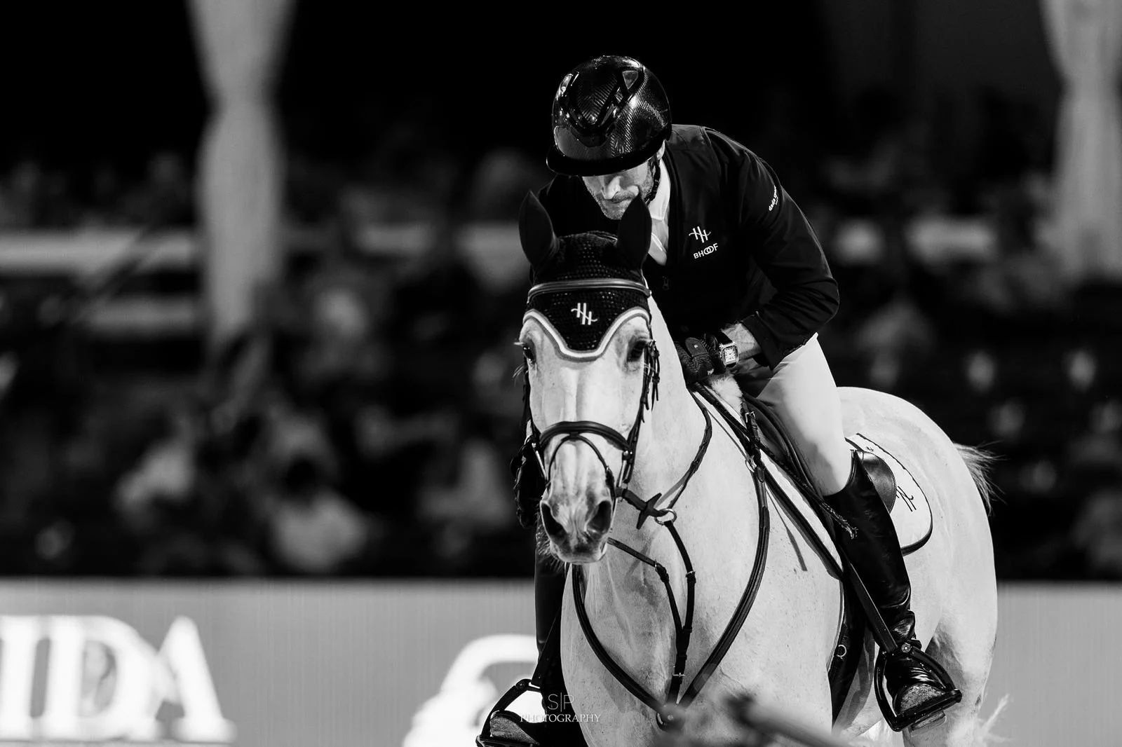 Horse jumping